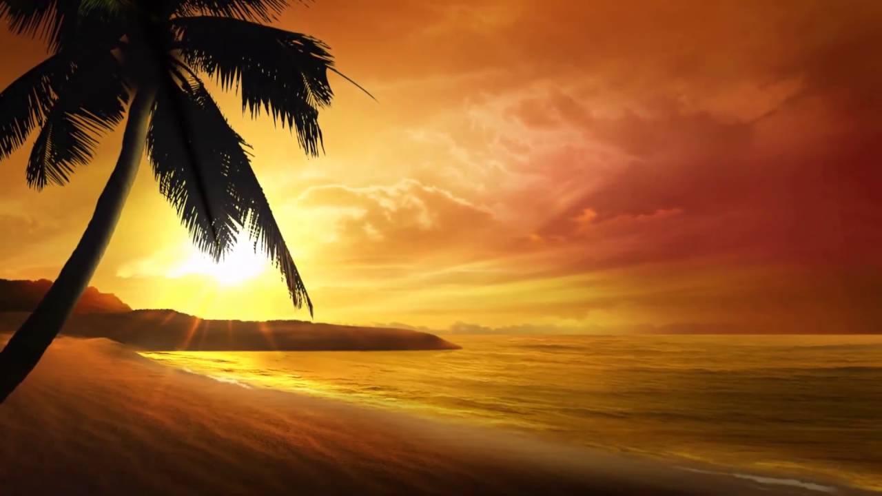 Cool Sunset Video Background With Music Loop By Zc