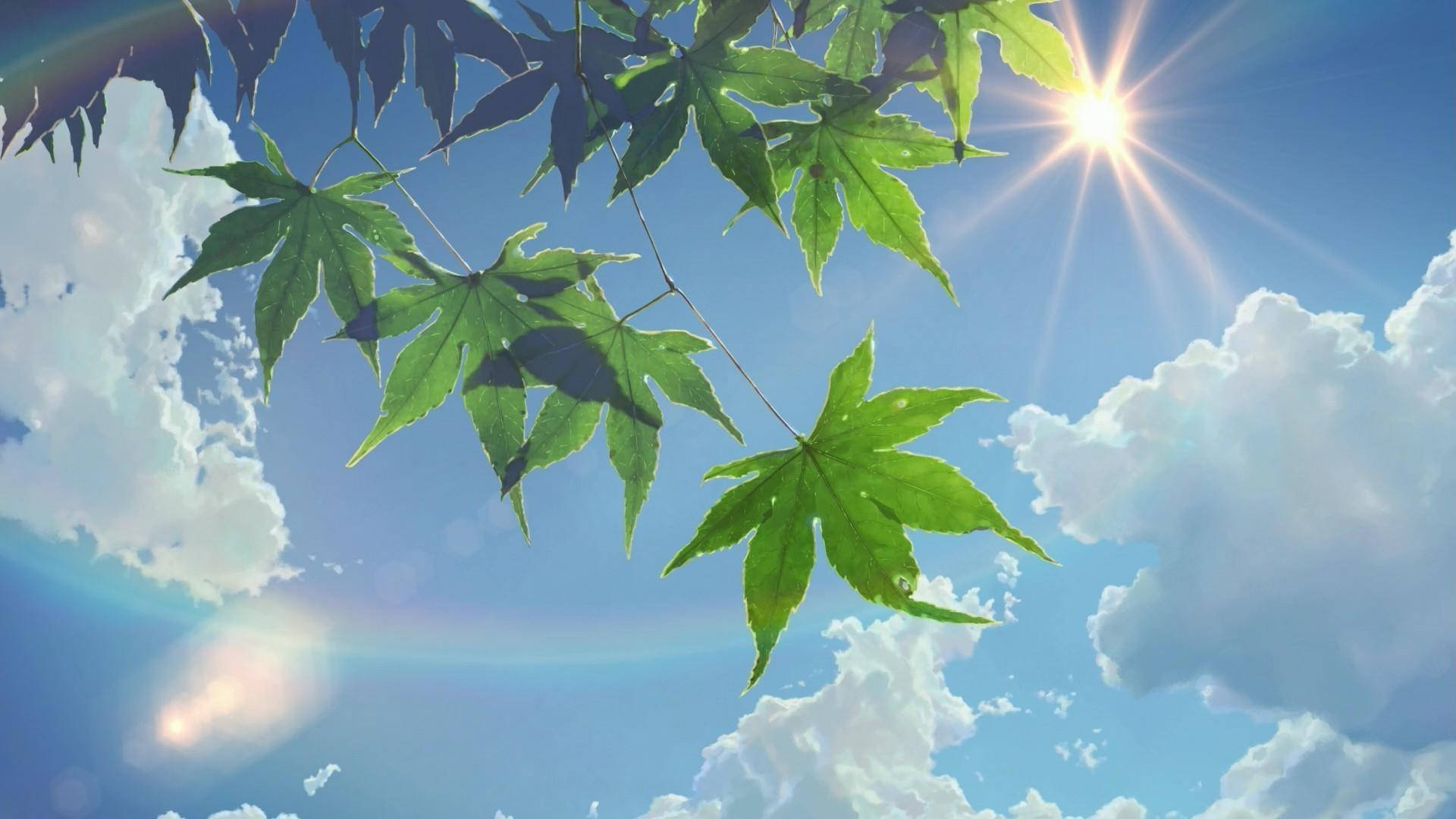 Summer Aesthetic Wallpaper
