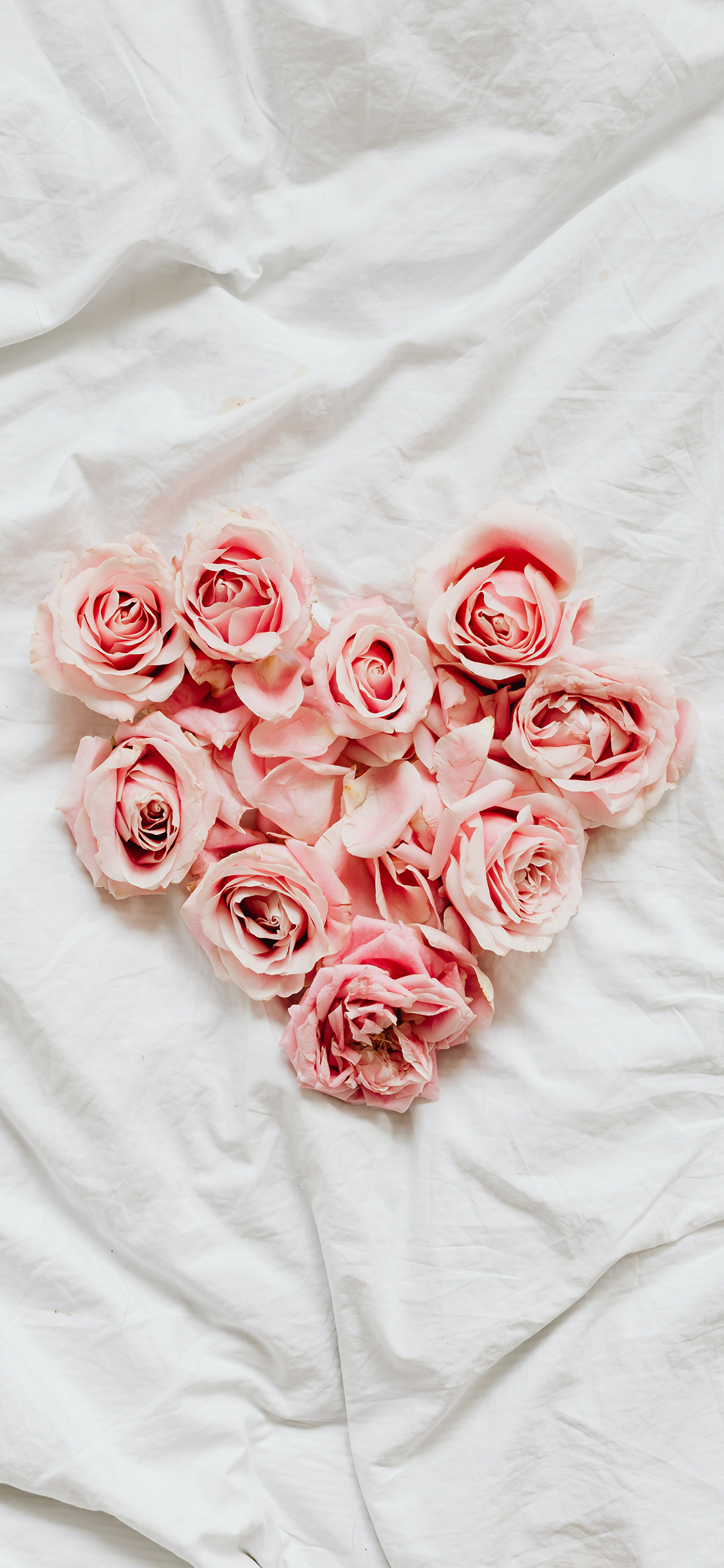 Rose Wallpaper For iPhone