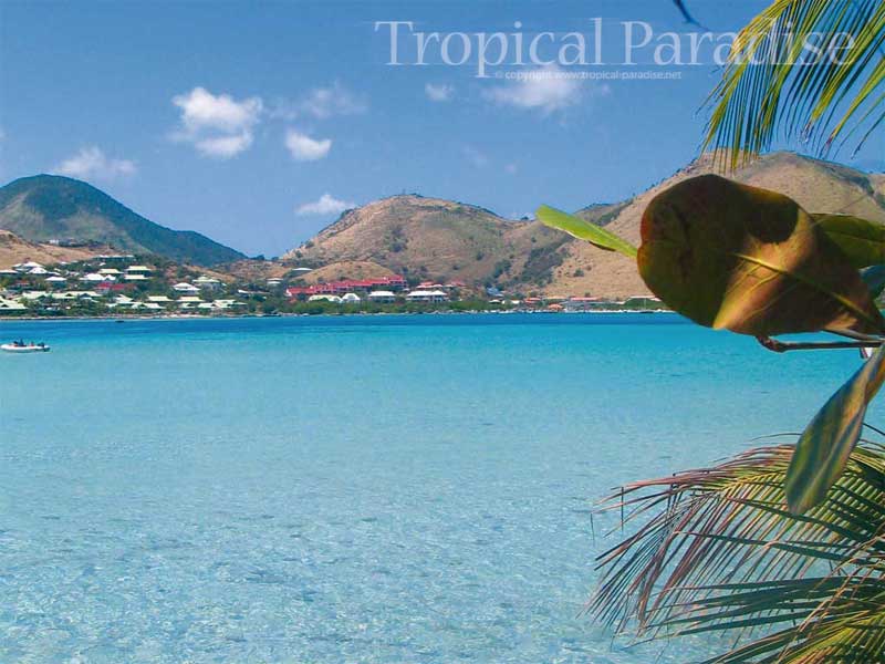  URL httpwwwtropical paradisenetcaribbean beach wallpaperhtml