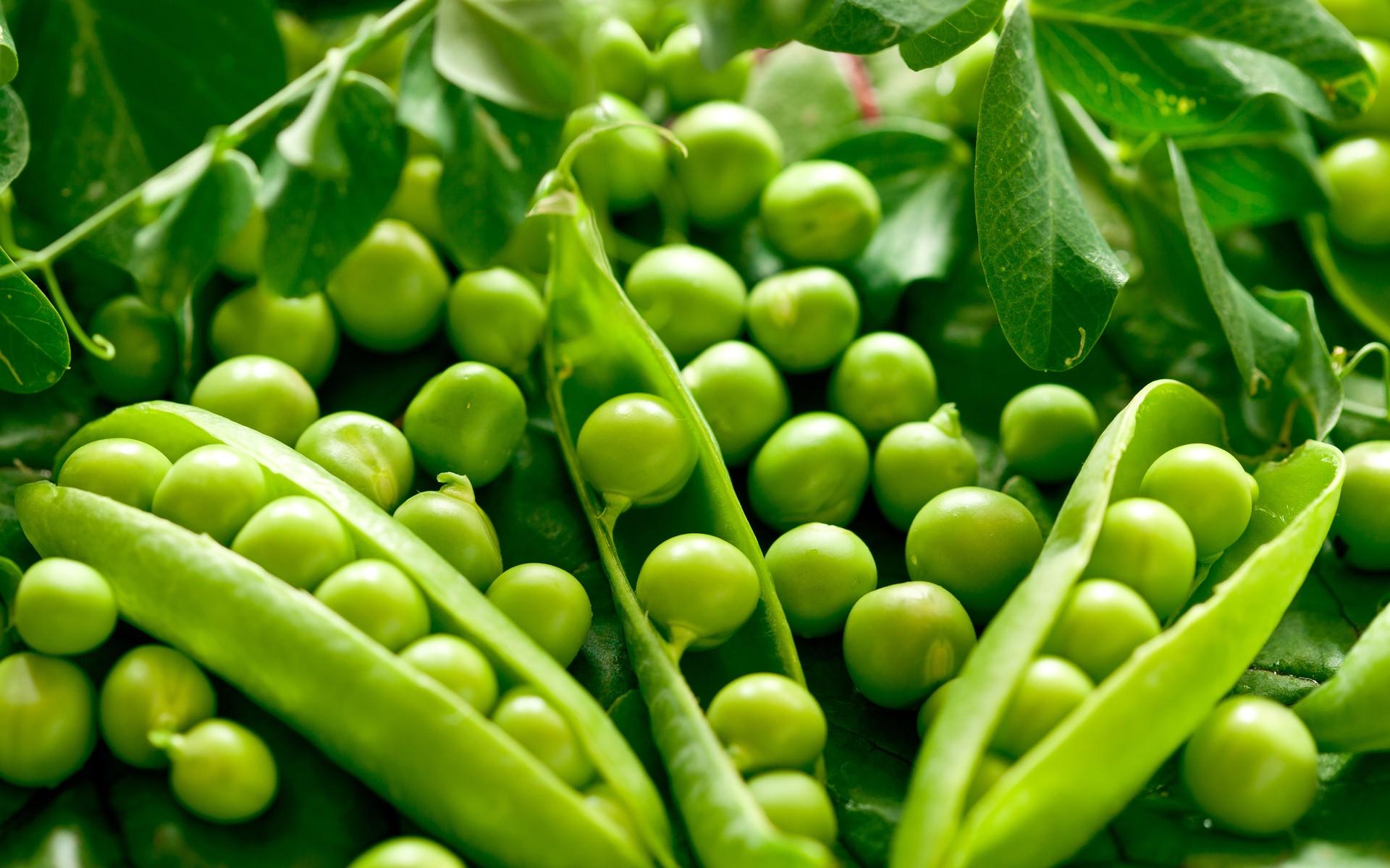 Peas Wallpaper Id Wallpapervortex