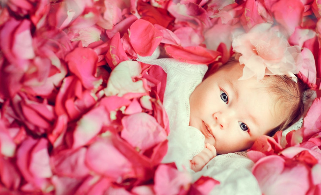 Angel In Rose Petals Wallpaper