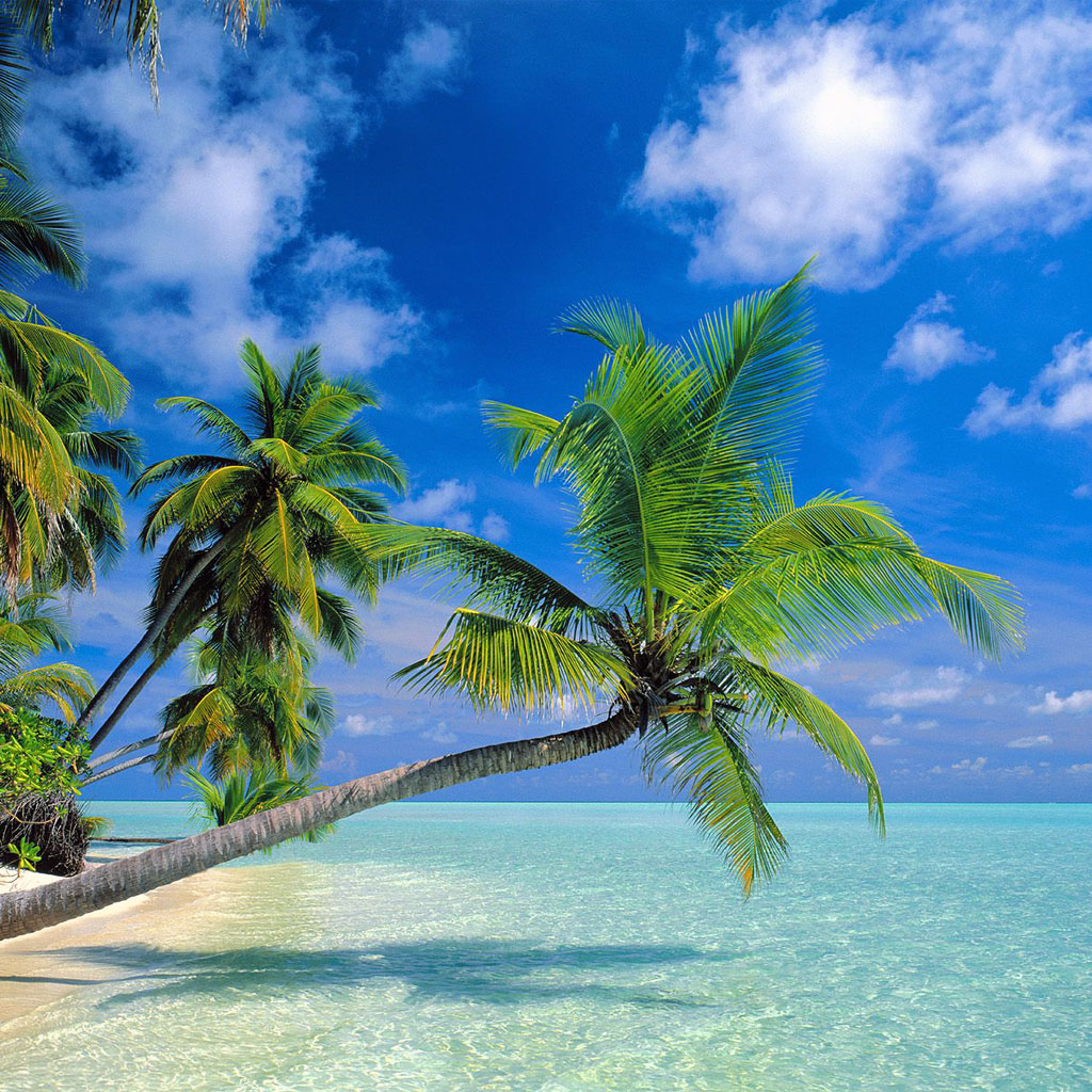 Wallpapers For Android Tropical Paradise At Maldives iPad Wallpaper