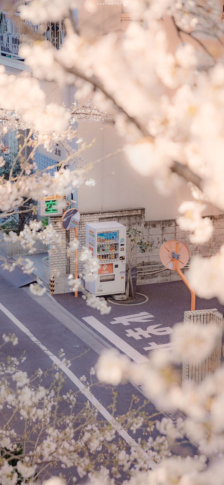 Sakura Airi vending machine Japan vertical portrait display