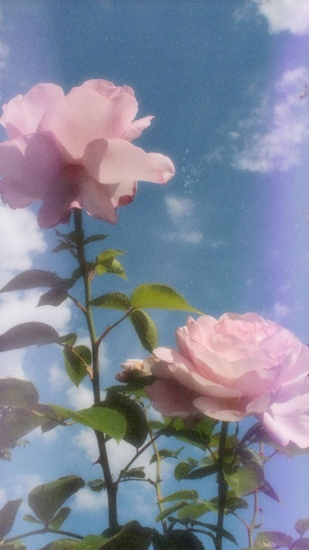 Blue Aesthetic Wallpaper
