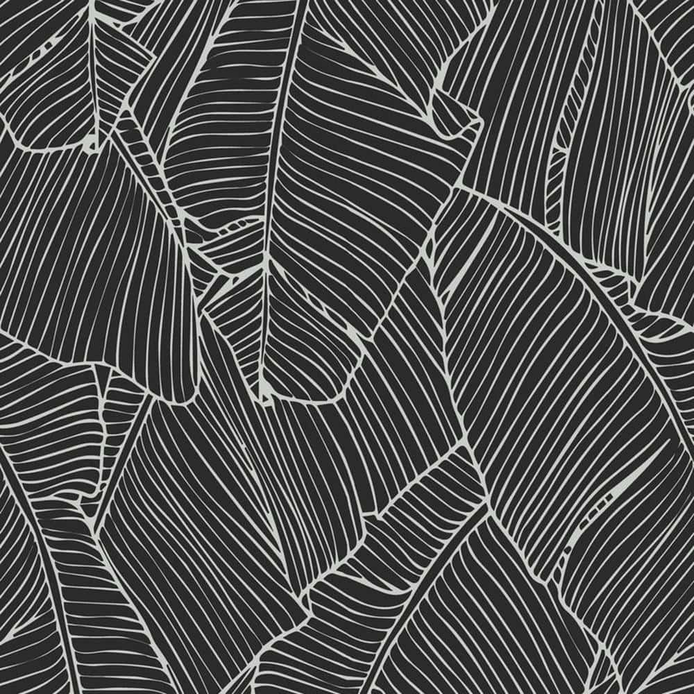 Intricately Designed Outline Wallpaper