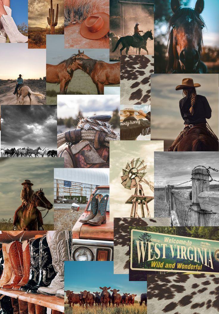 Free download ipad air 4 walpaper western aesthetic Horse wallpaper Western  735x1058 for your Desktop Mobile  Tablet  Explore 35 Aesthetic Horse  Wallpapers  Horse Wallpapers Horse Background Cool Horse Backgrounds