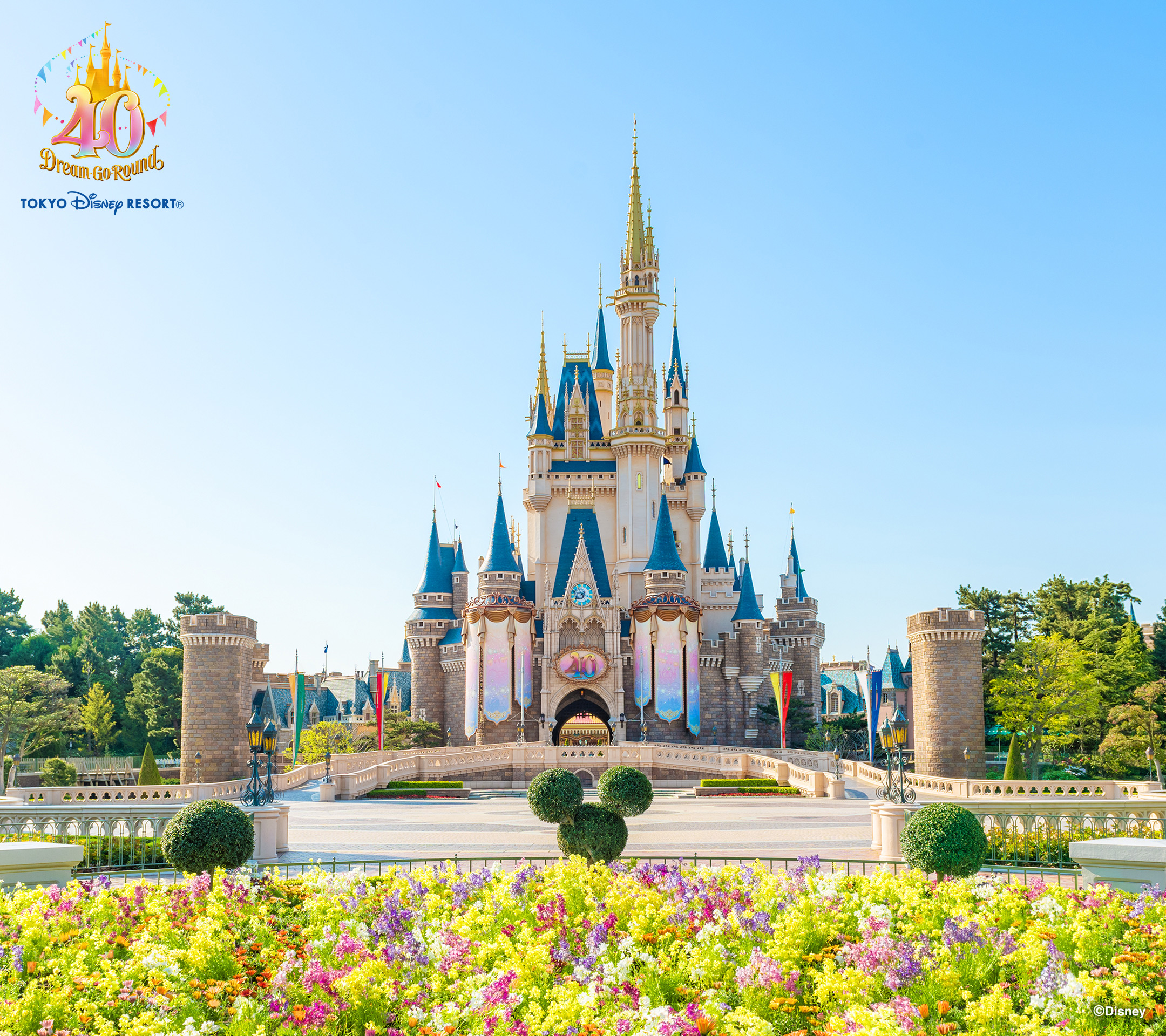 Disneyland Castle Wallpaper