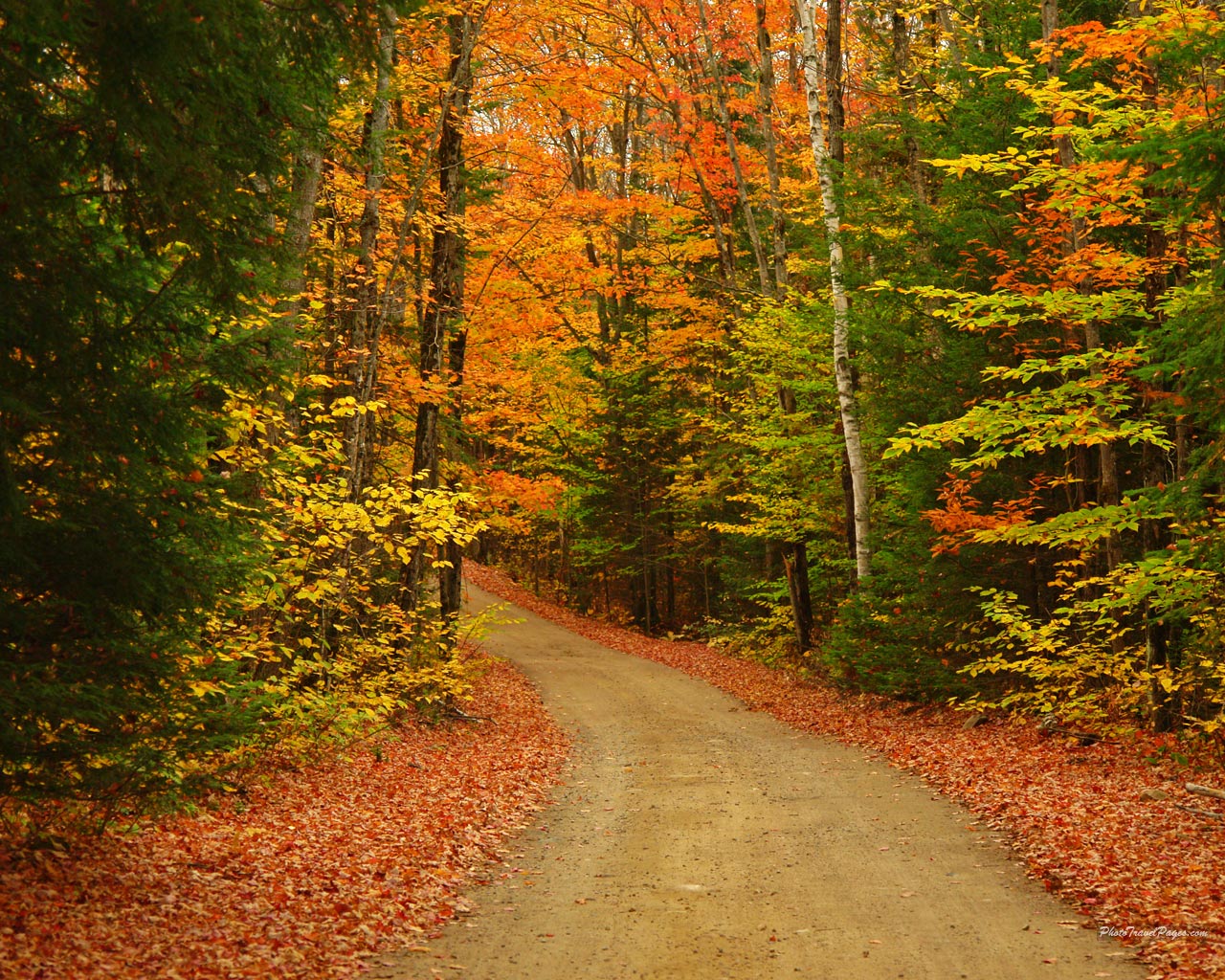 Beautiful Fall Scenes Desktop Wall Pics