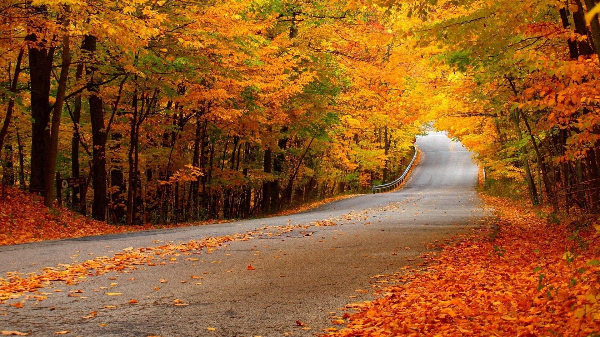 Nature Wallpaper Autumn Photo