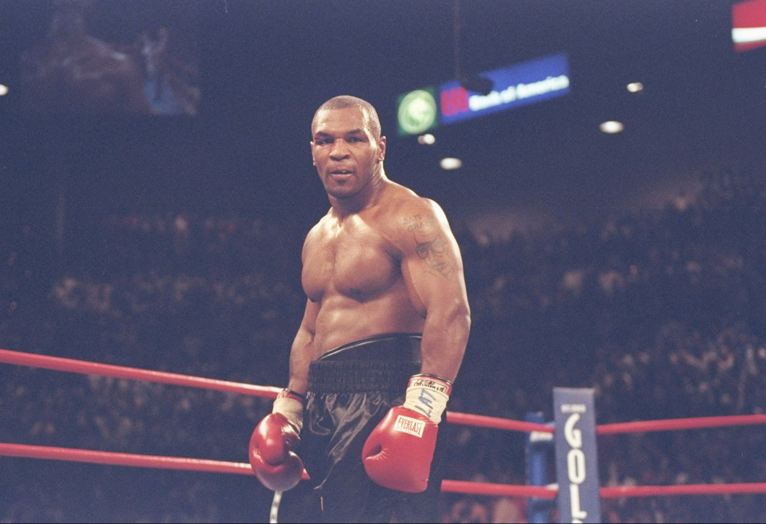 Mike Tyson Hd Wallpaper