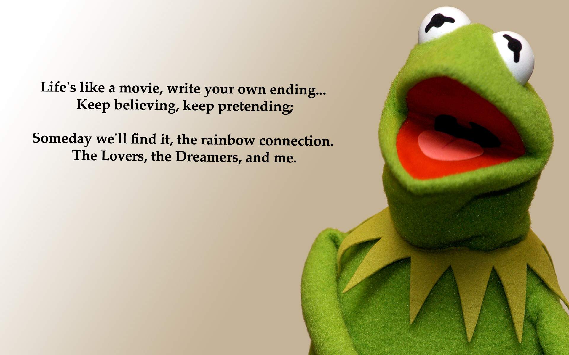 free funny kermit wallpapers