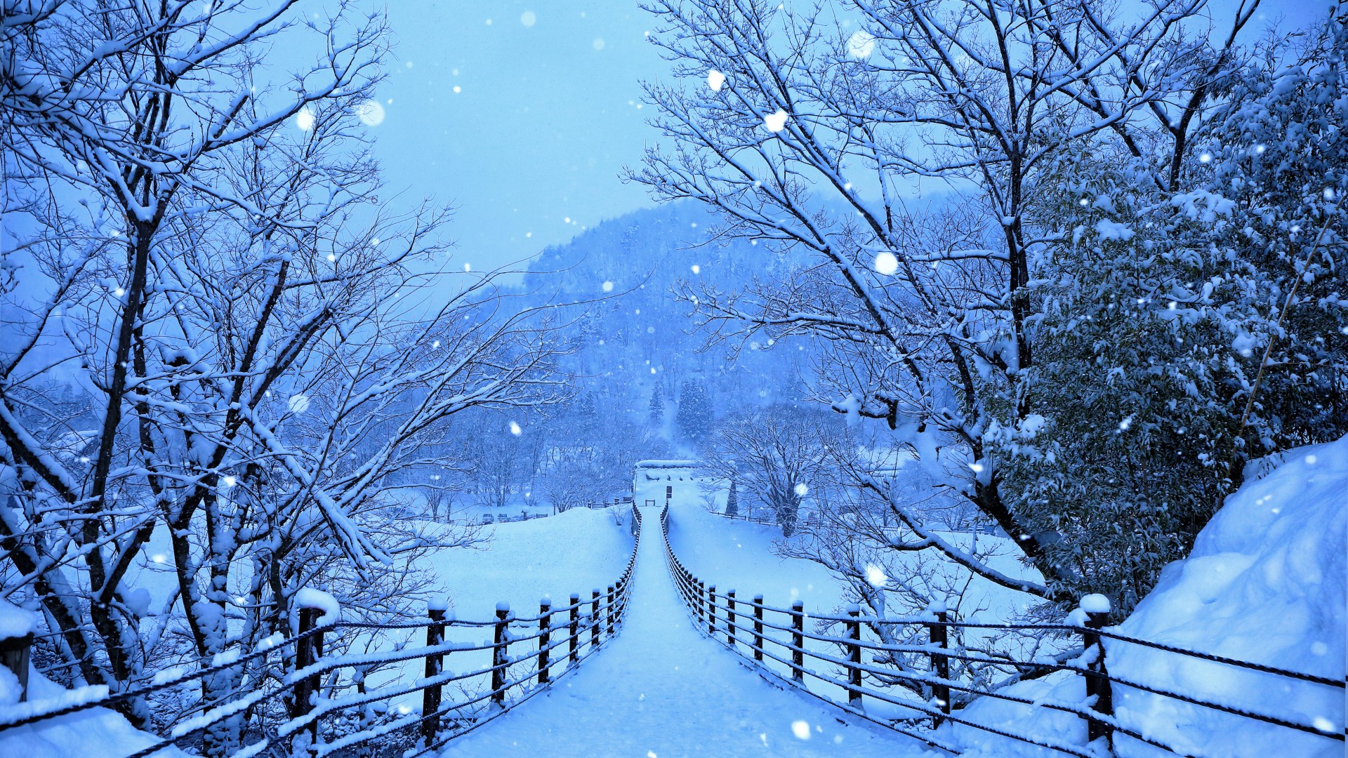 Snow Covered Road And Trees In Winter 4k HD Nature Wallpaper
