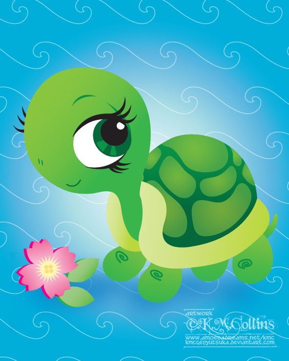 Cute Turtle Wallpaper Turtles