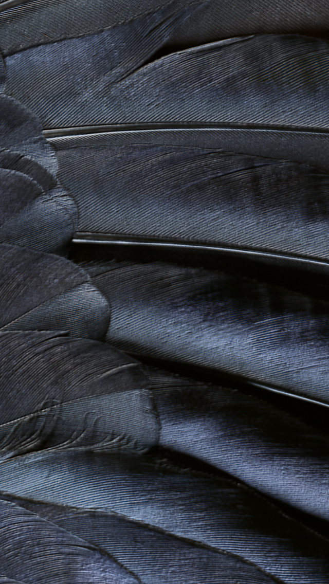 Abstract Creative Ios9 Feather Texture Dark Art iPhone Se