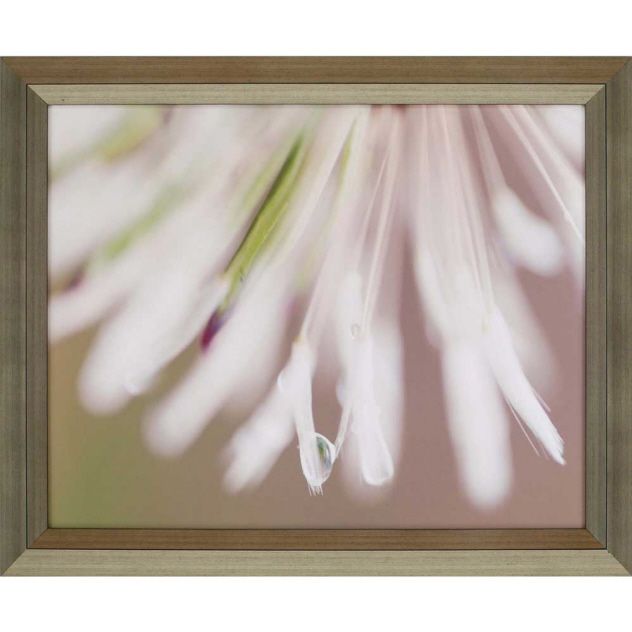 Modern Nature Ii Wall Art By Candice Olson For Paragon Picture Gallery