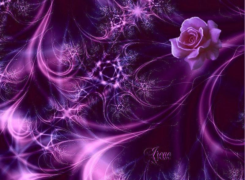 Background Nature Purple Rose Black Background And Some Ppt