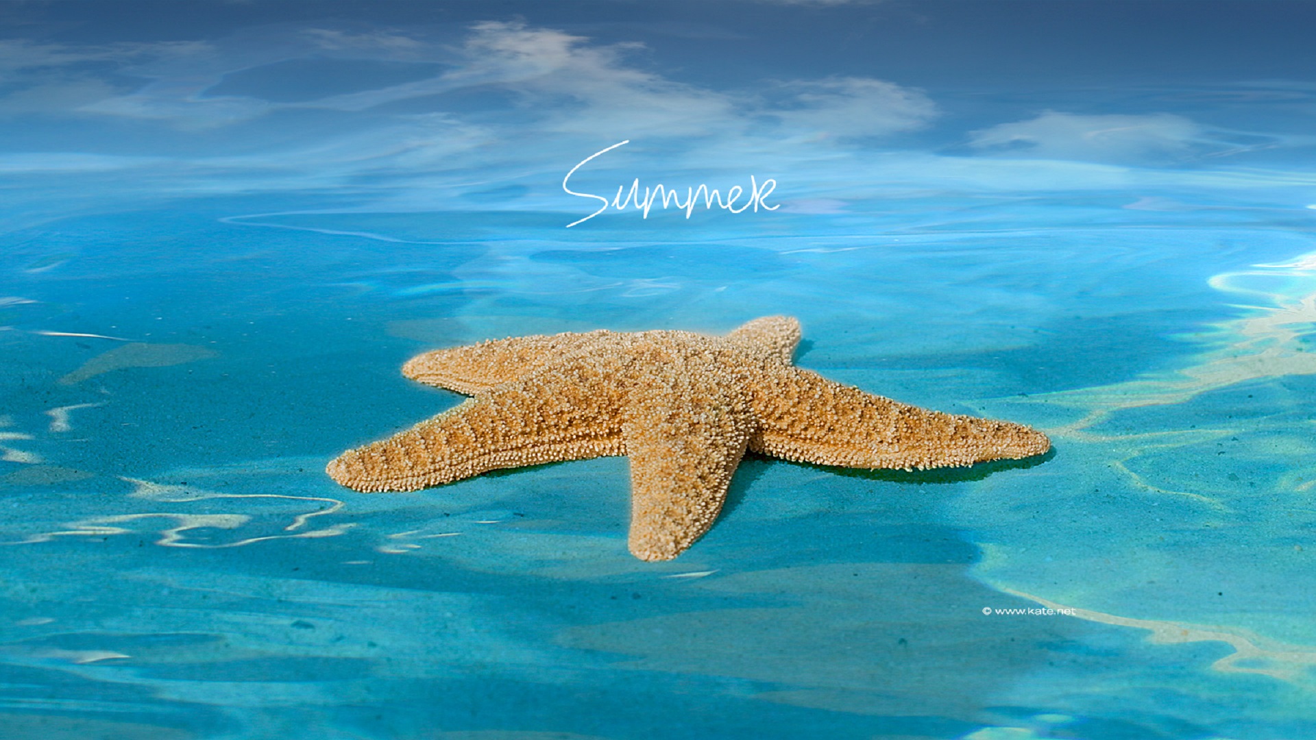 3d Summer Wallpaper Related Keywords Amp Suggestions