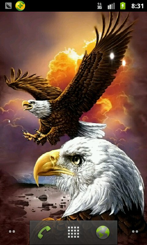 American Eagle Live Wallpaper Android