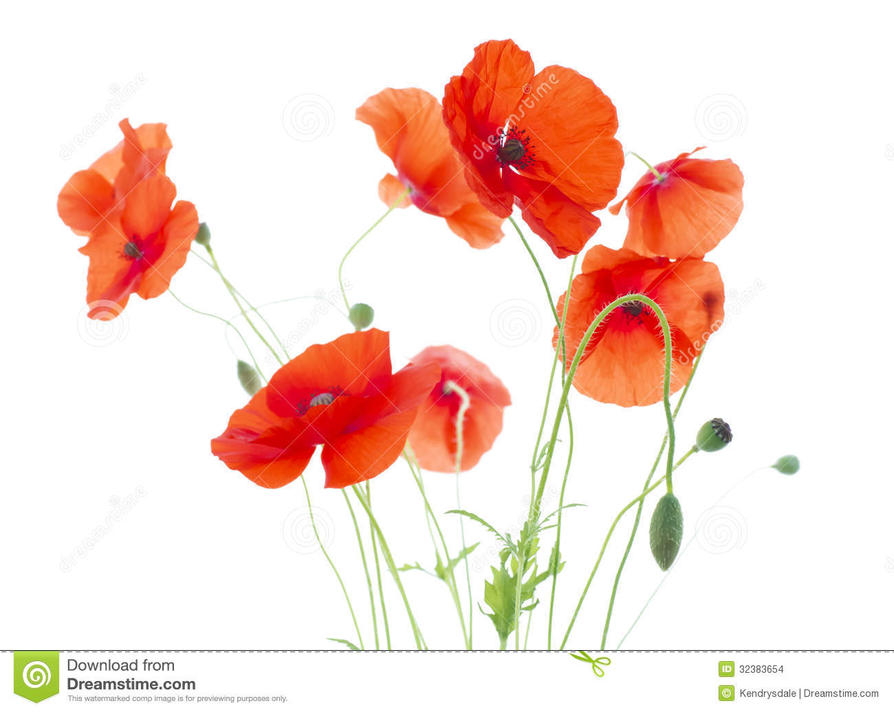 Poppies Clipart Corn With Seed Pods