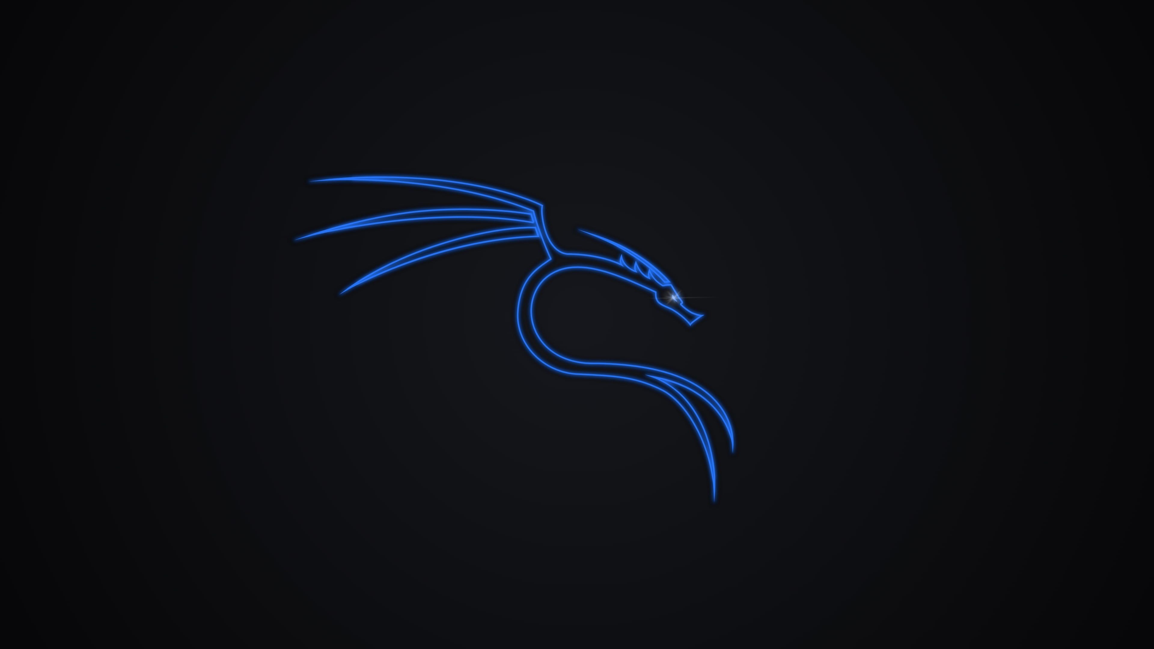 Kali Linux Nethunter Wallpaper