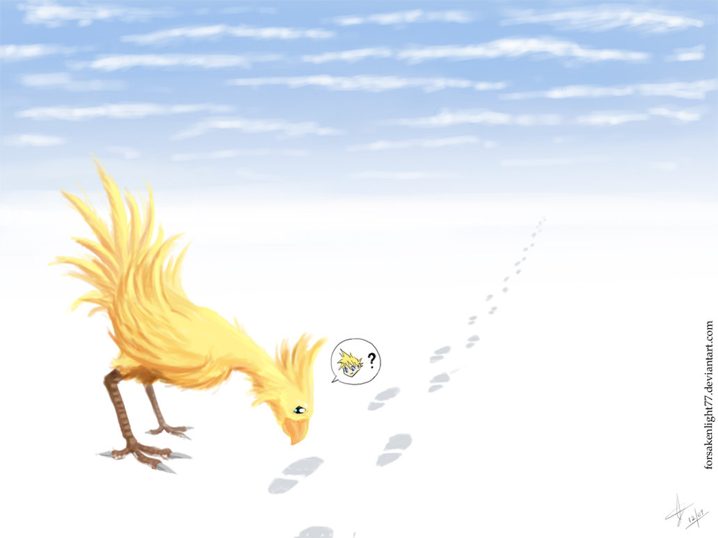Chocobo Wallpaper Picture