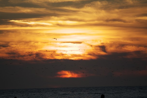 Sunset On The Beach At Siesta Key Florida Location Fl