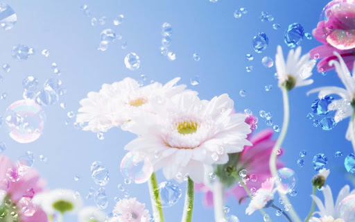 3d Spring Flower For Android