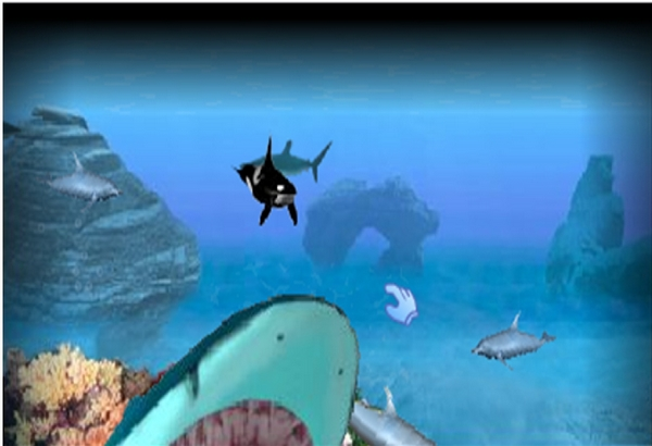 Image 3d Marine Aquarium Screensaver