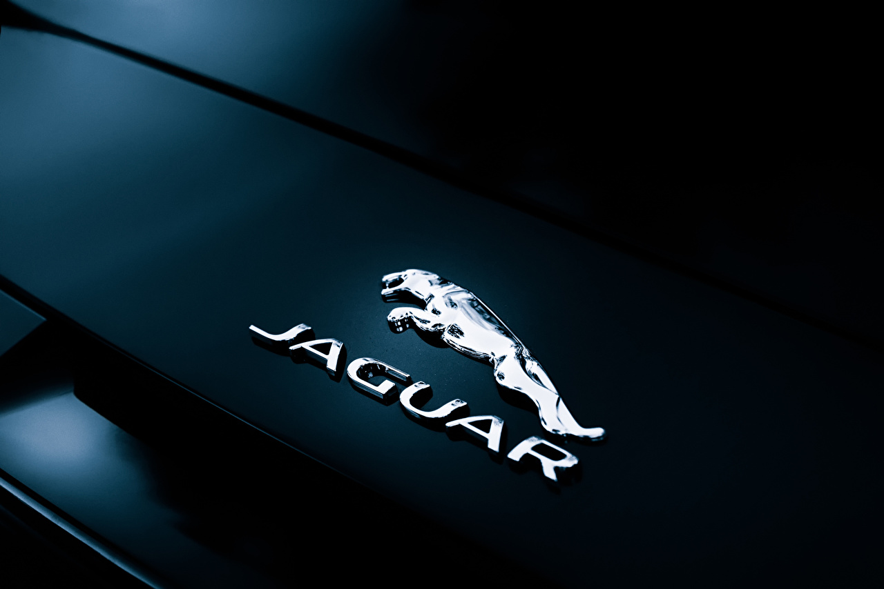 Wallpaper Jaguar Logo Emblem F Type Convertible Rear Badge Cars