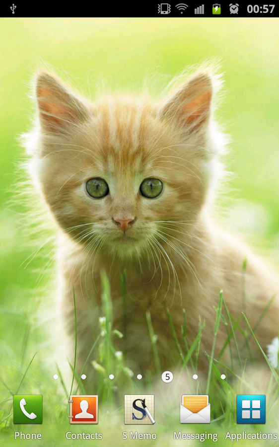 Cute Kittens Wallpaper Android Apps On Google Play