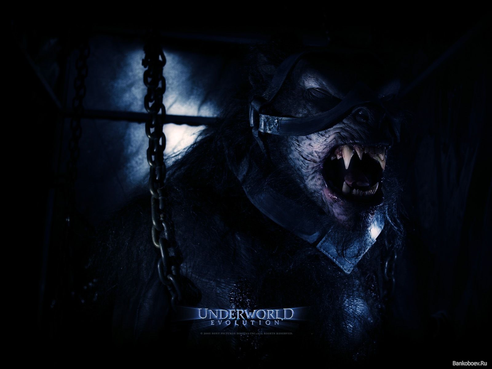 Underworld Werewolf Wallpaper Image Pictures Becuo