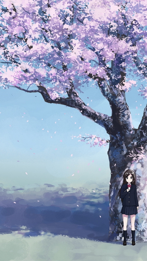 Pin by Pink  Blossom on Wallpaper   Anime scenery Anime scenery  wallpaper Scenery wallpaper