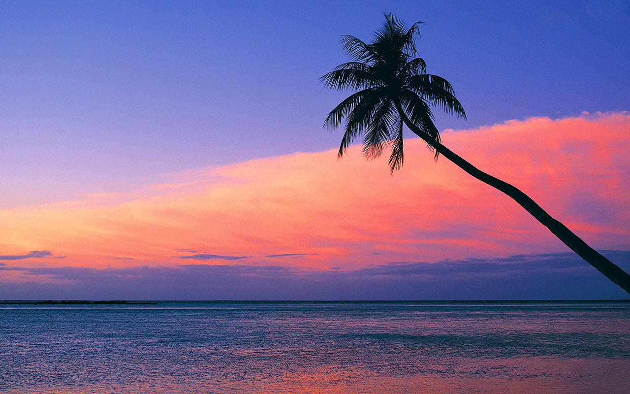 Look at the pink sunset from the beach wallpaper   Beach Wallpapers