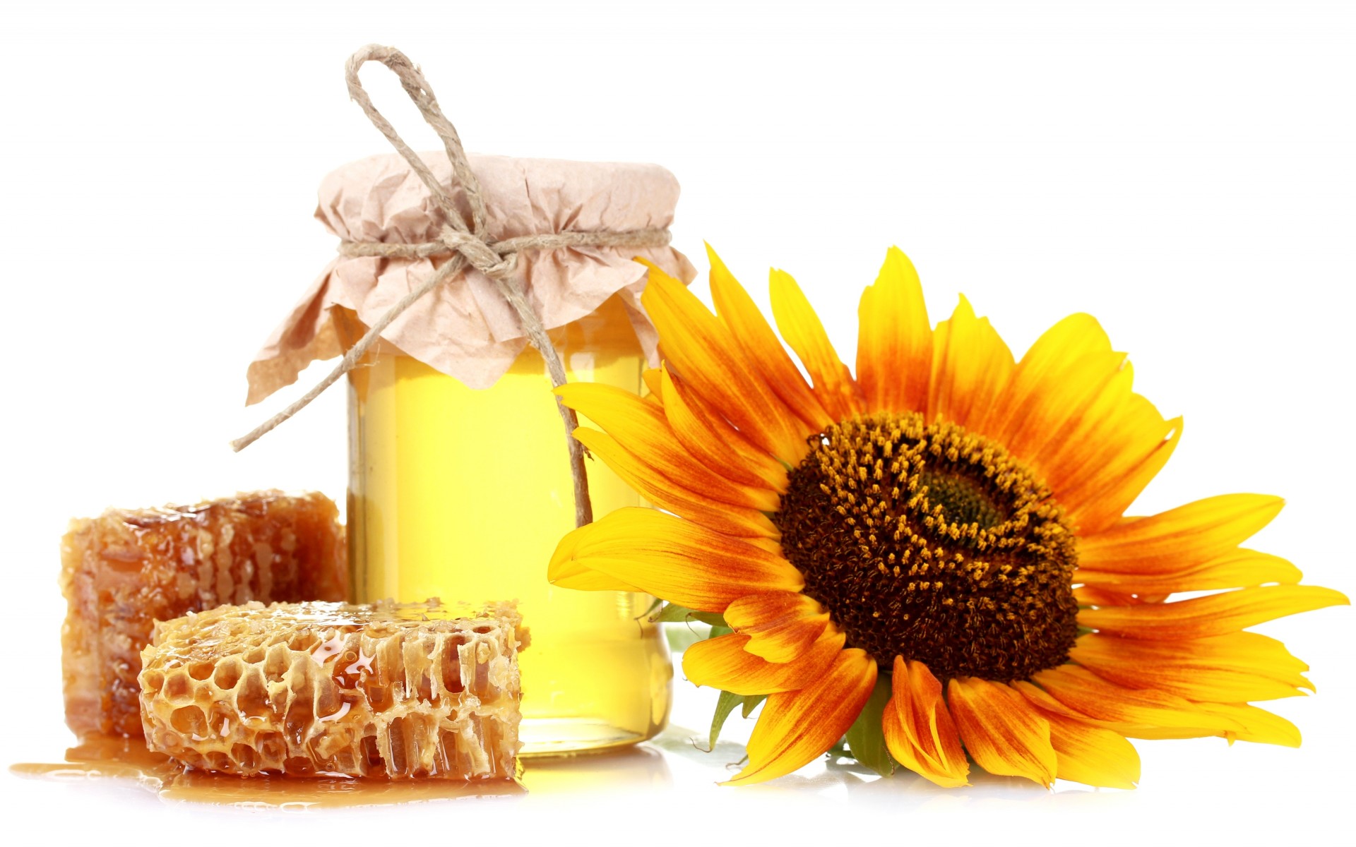 Bank Sunflower White Still Life Color Sweets Wallpaper Background