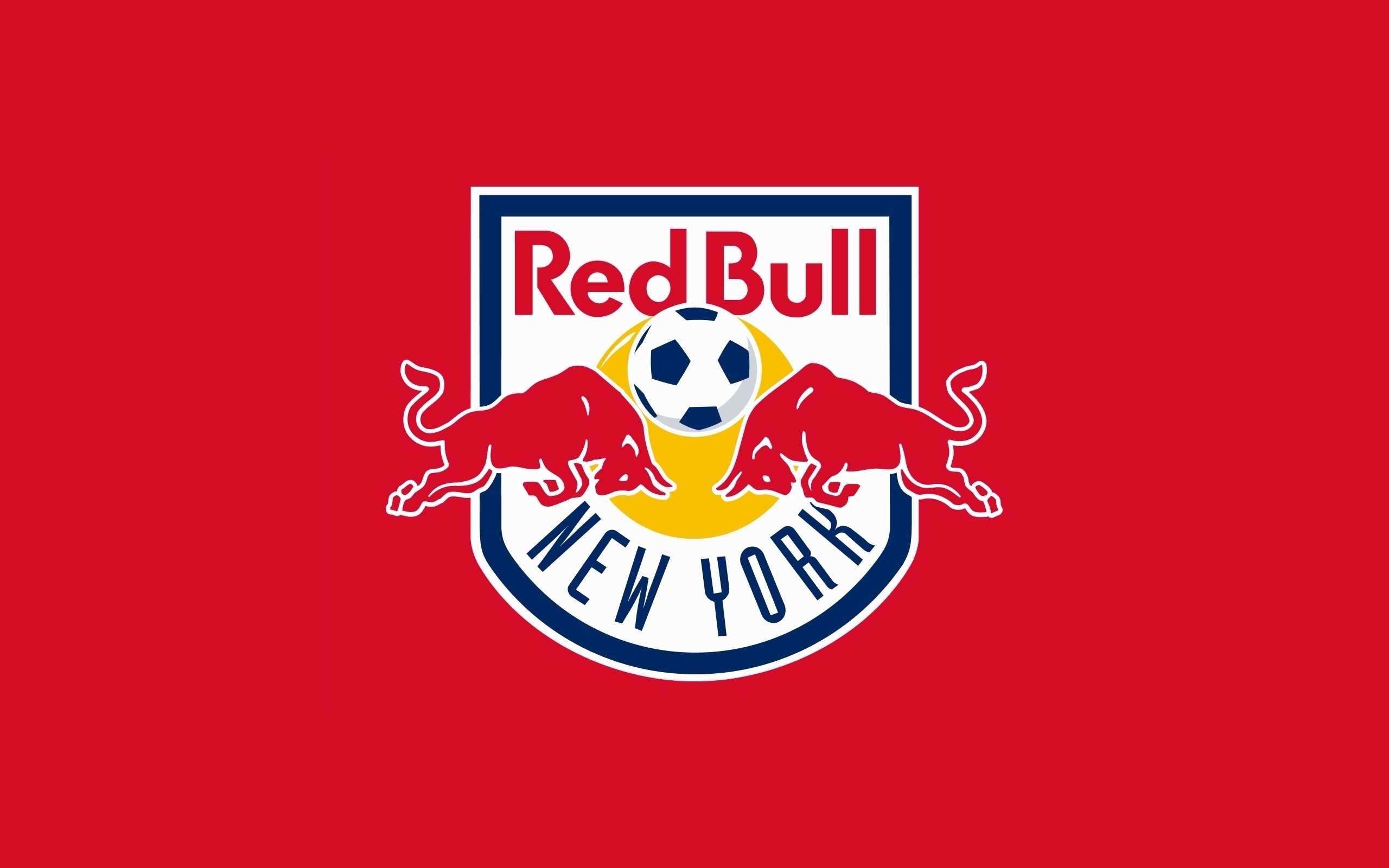 New York Red Bulls