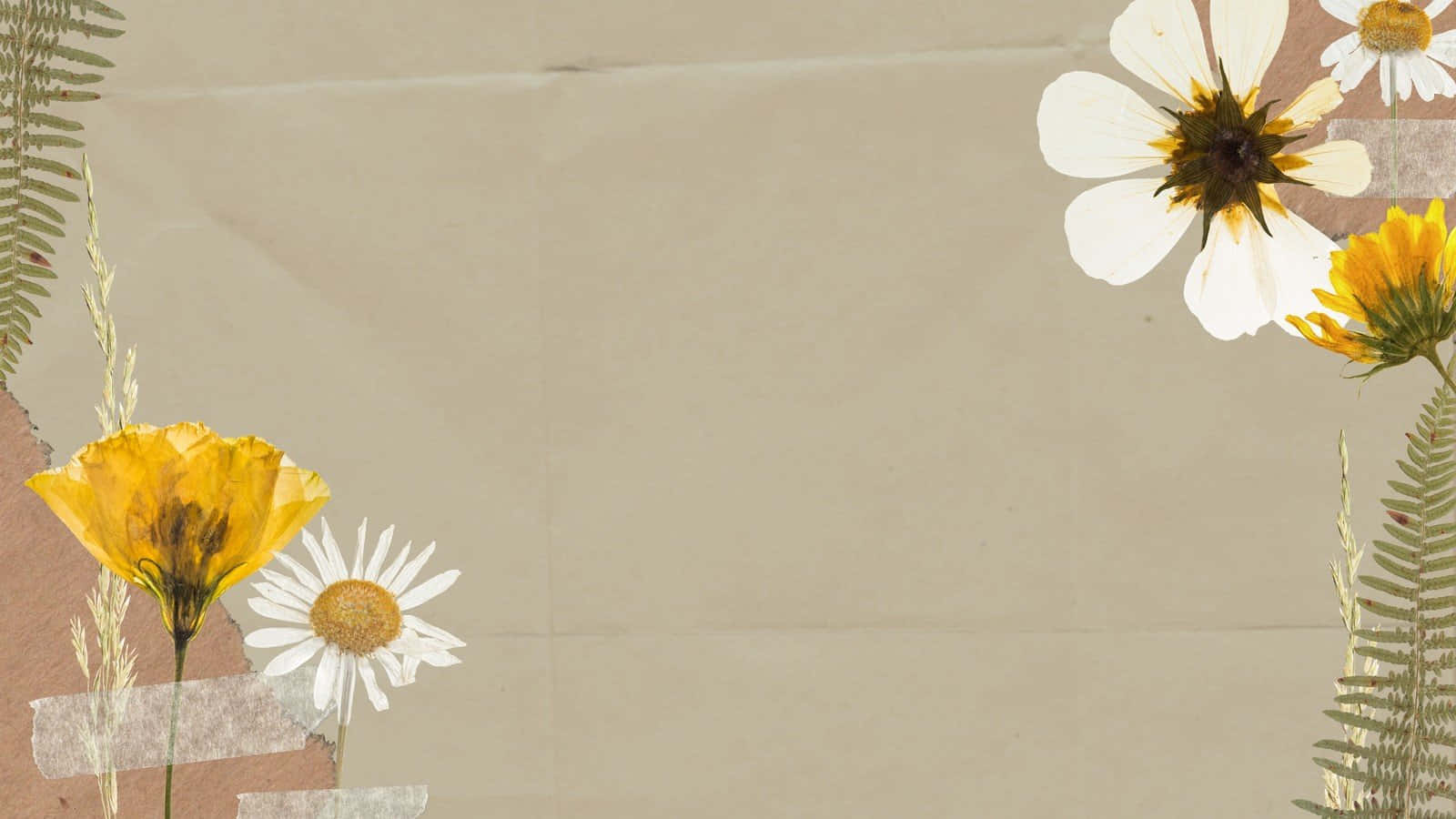 Background Wallpaper