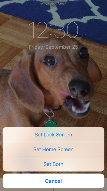 To Set Live Photos As Your Wallpaper On iPhone 6s And Plus
