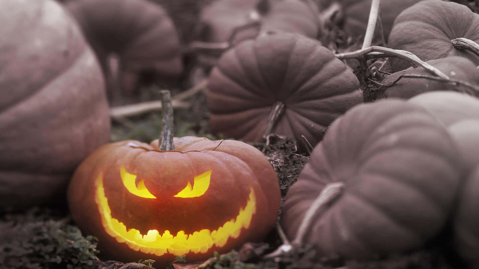 X Halloween Wallpaper