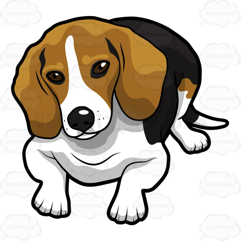 Pin Cute Cartoon Beagle