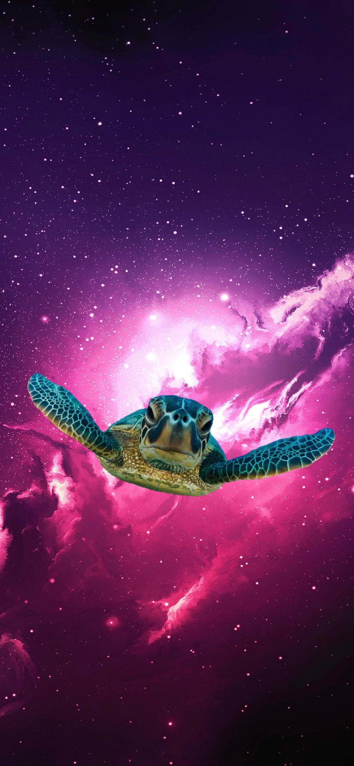 I Ve Been Using An Old Version Of The Space Turtle As My Wallpaper