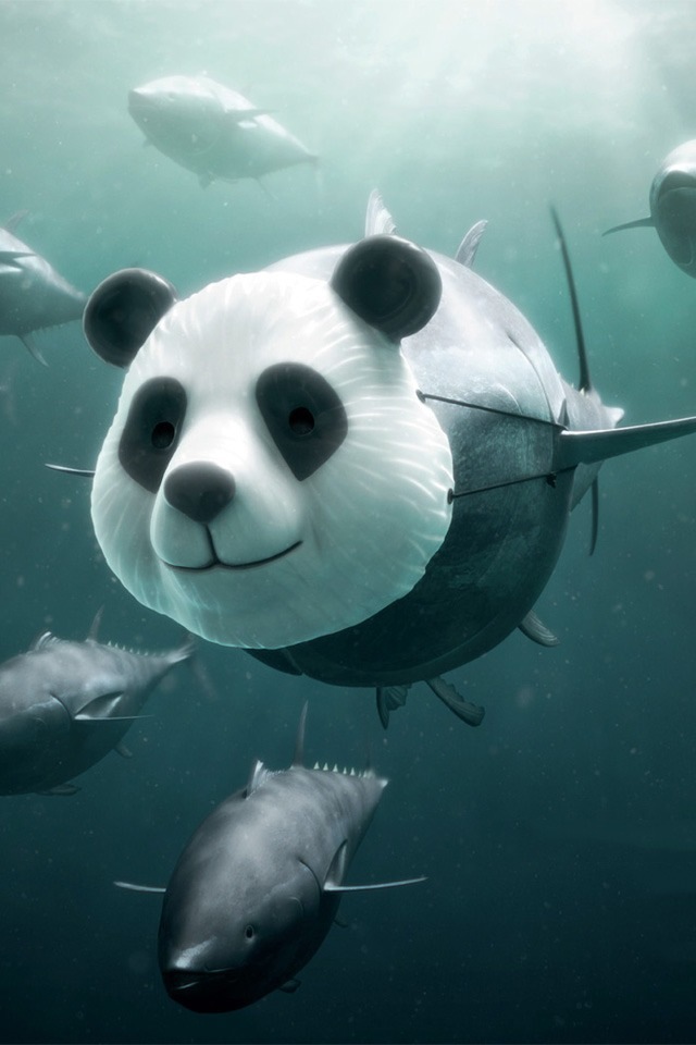 If I Were A Panda iPhone 4s Wallpaper