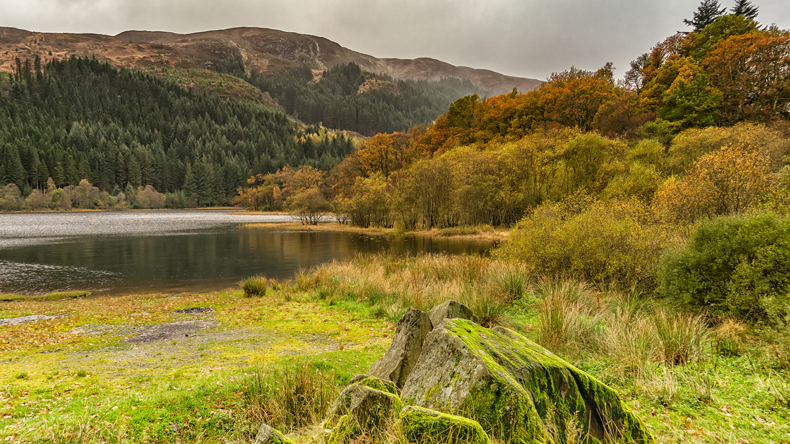 Photos Loch Chon Nature Autumn Hill Lake Forests Moss