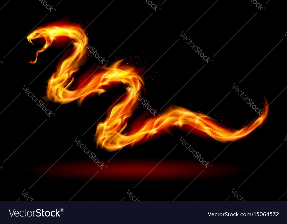Fire Snake On Black For Design Royalty Vector Image