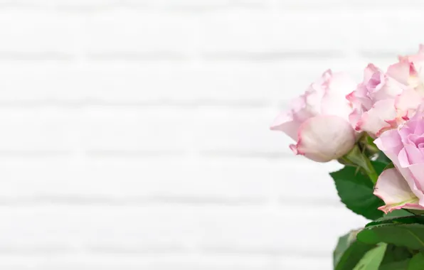 Wallpaper White Roses Bouquet Section Flowers