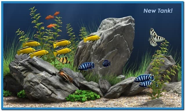 Dream Aquarium Screensaver Windows 64bit