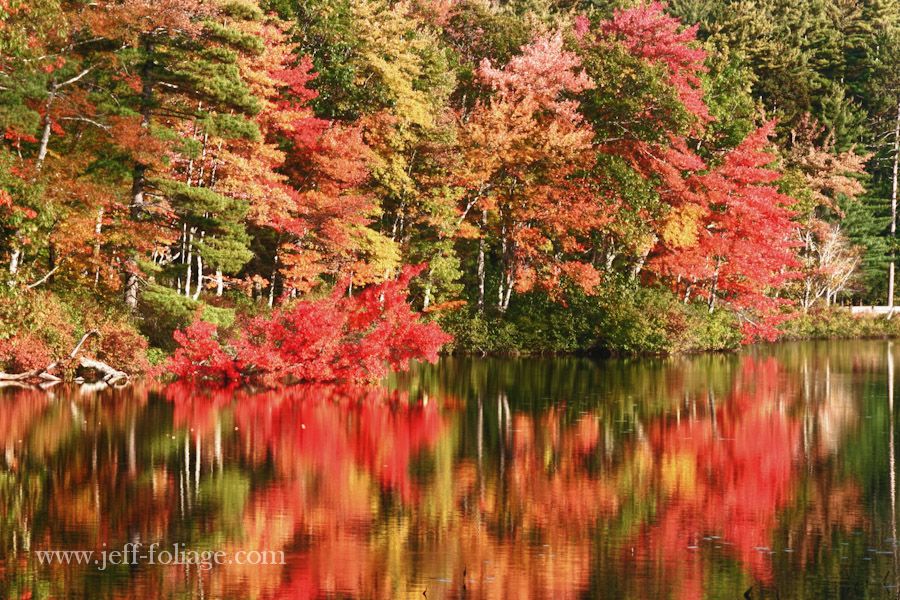 New England fall foliage photo gallery