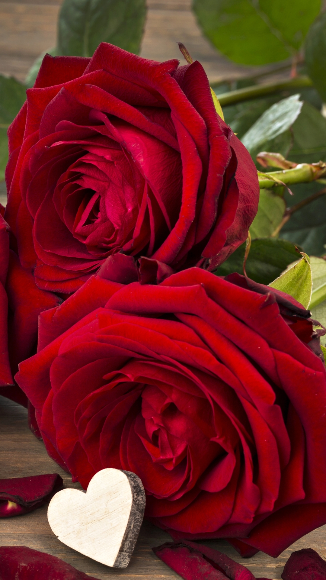 Love Rose Wallpaper HD Full Size
