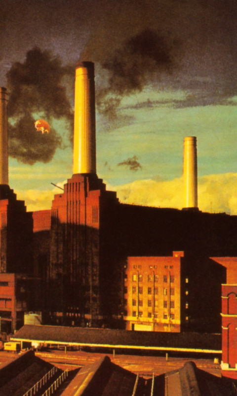 Pink Floyd Animals Album Cover Wallpaper For Nokia Lumia