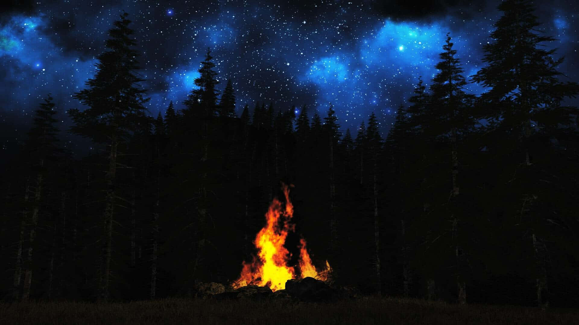 Campfire Glowing In The Dark 2fwgle7r919w2955 Wallpaper
